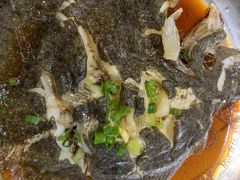 清蒸多宝鱼-盒马鲜生(皇庭广场店)
