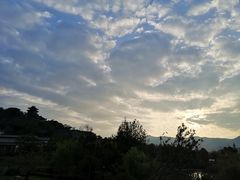 -鑫福楼农家菜