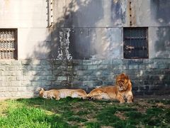 -西安秦岭野生动物园