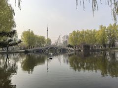 -曲水兰亭(北京四惠店)