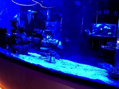 -上和臻品中国菜(花园街店)