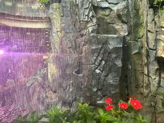 -正佳雨林生态植物园