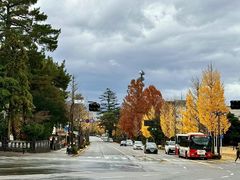 -金泽21世纪美术馆