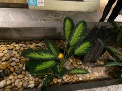 -野妹经典火锅(江夏中百店)