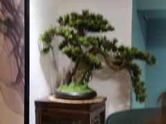 -徽镇小厨·经典徽菜(十里河店)