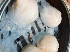 虾饺-点点心点心专门店(湾仔店)