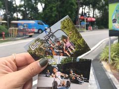 -圣淘沙天际线斜坡滑车