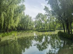-洛阳市隋唐城遗址植物园