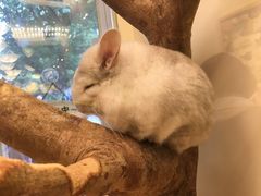 -龙猫仔乐园(惠福东路店)