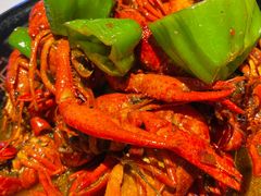 -96农蝎虾(江桥老街店)