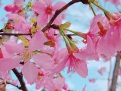 -福建鲤鱼洲酒店