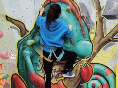 -尽峰攀岩 Acme Climbing