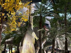 -湖南省地质博物馆