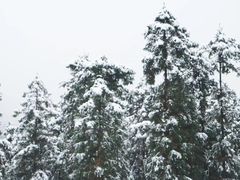 -午潮山国家森林公园