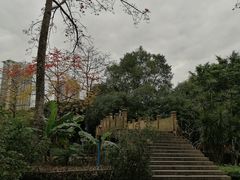 -晓港公园
