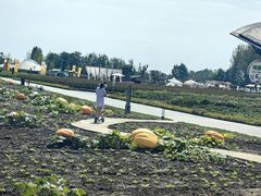 -中国天府农业博览园