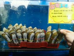 -蚝专家(北滘店)