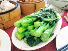 -金苑海鲜酒家(新港中路店)