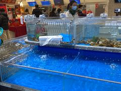 水产区-盒马鲜生(富田新天地店)