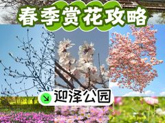 -迎泽公园