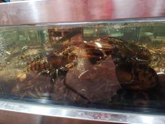 -盒马鲜生(莱蒙都会店)