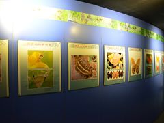 -吉林省自然博物馆