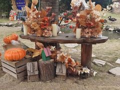 -HERRE·FARM 赫尔露营农场·团建聚会包场