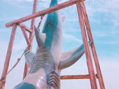 -刘家湾赶海园