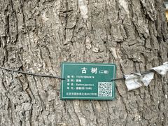 -大槐树烤肉馆(美术馆店)