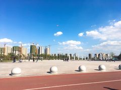 -丁香湖公园