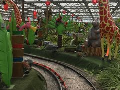 -南宫五洲植物乐园