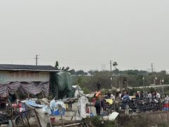 -海鸥岛河景湖大排档