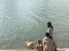 -南华国际酒店·玉兰自助餐厅