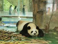 -成都动物园