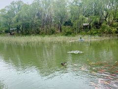 -泰安地下龙宫景区