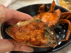 -莲花公园煎蟹(总店)