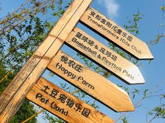 -上海崇明金茂凯悦酒店