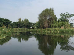 -西昌邛海湿地
