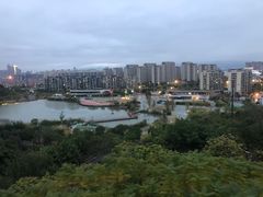 -飞凤山奥体公园