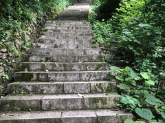-秦岭天竺山景区