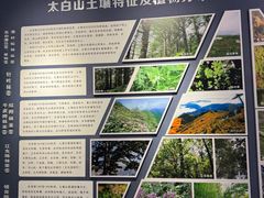 -陕西省红河谷森林公园