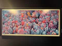 -罗红摄影艺术馆