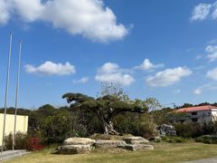 -海上花岛玫瑰园采摘