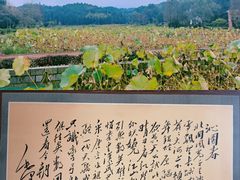 -清漾毛氏文化村
