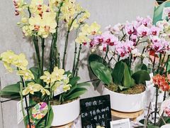 -盒马鲜生(公园1903店)