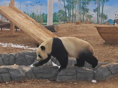 -秦皇岛野生动物园