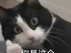 -台湾小竹(华宇广场店)
