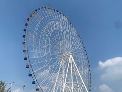 -古乐牛香•鲜牛肉牛杂火锅(系马桩总店)