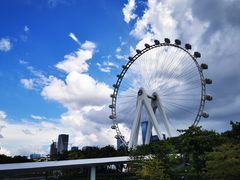 -蔻蔻椰·鲜萃椰子水(欢乐港湾店)