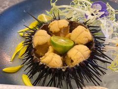 -南山酒肆(南山董事绘店)